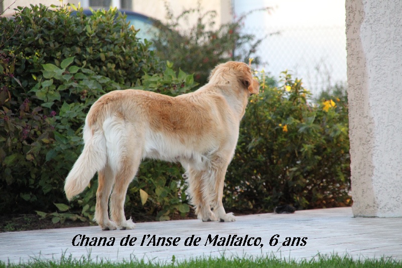 CH. Chana de l'Anse de Malfalco