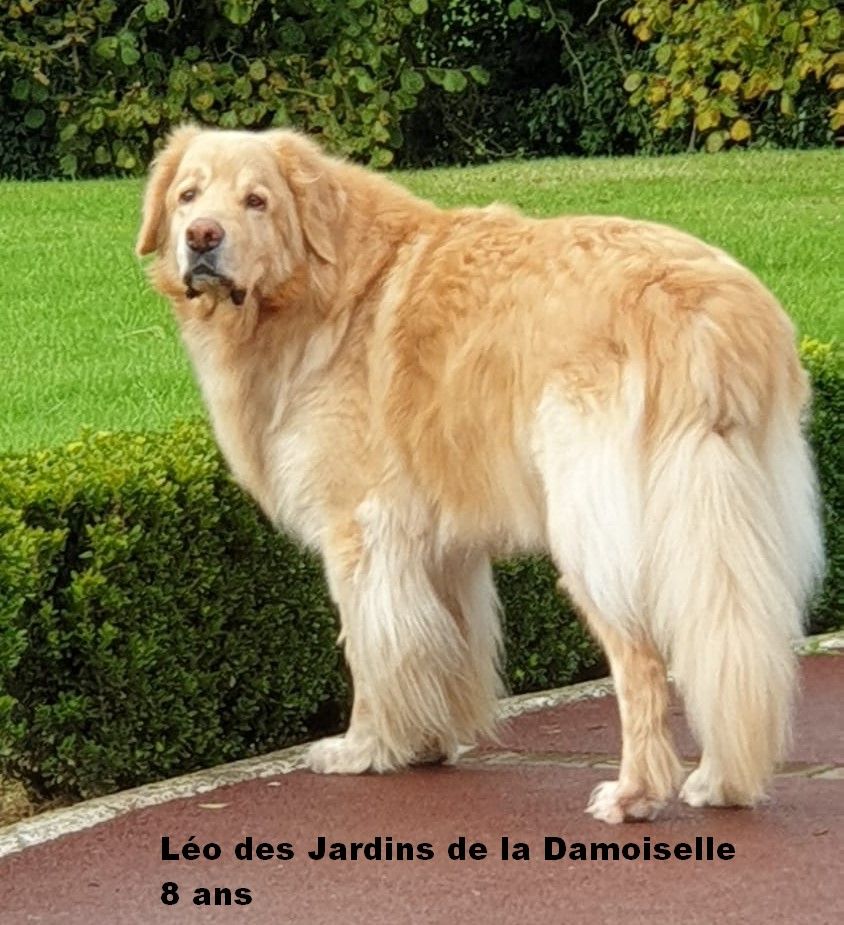 Léo des Jardins de la Damoiselle