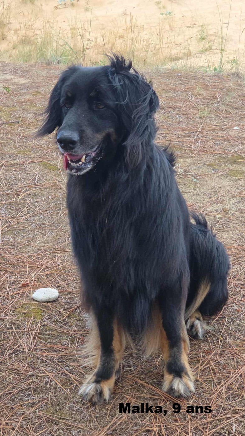 Malka des Jardins de la Damoiselle