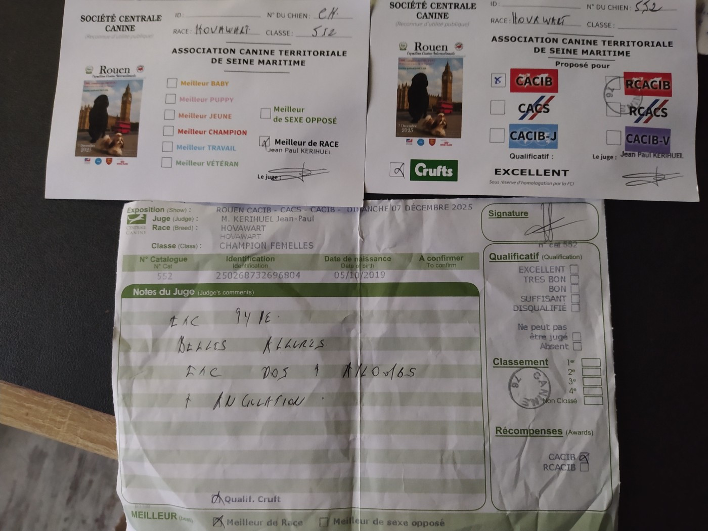 des Jardins de la Damoiselle - DECEMBRE 2025, les news