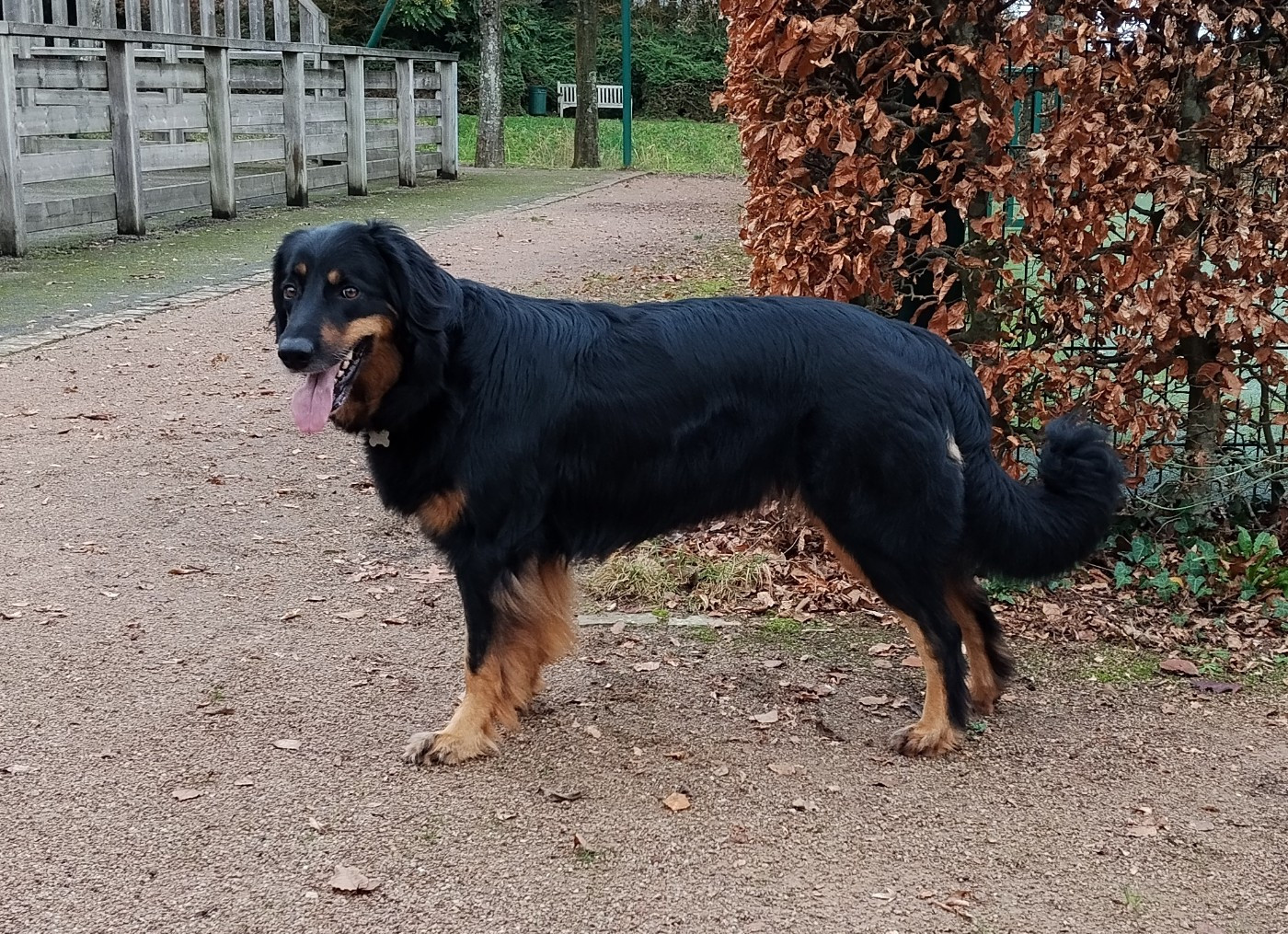 des Jardins de la Damoiselle - DECEMBRE 2025, les news