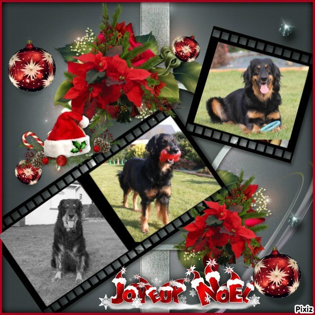 DECEMBRE 2025, les news